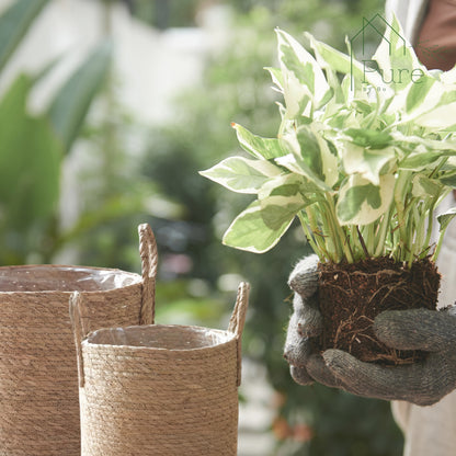 Nordic Nature Basket